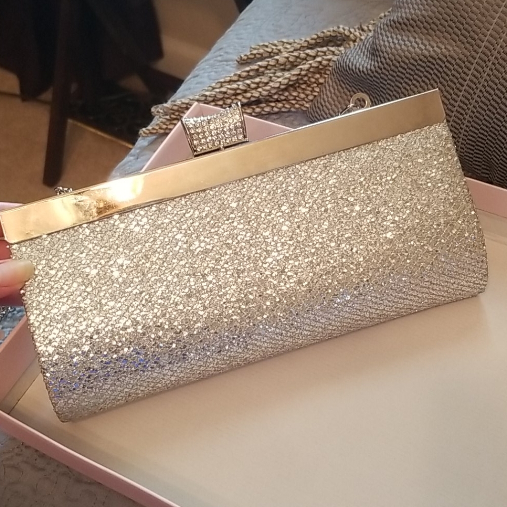 Lulu Townsend Silver Clutch W/ Chain